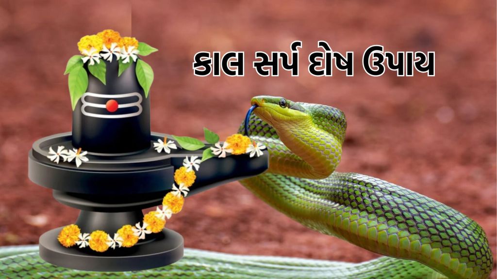 Kaal Sarp Dosh Upay: કાલ સર્પ દોષ મુક્તિ માટે મહાશિવરાત્રિ પર કરો ચમત્કારી ઉપાય, જીવન સુખી થશે Kaal Sarp Dosh Upay: કાલ સર્પ દોષ મુક્તિ માટે મહાશિવરાત્રિ પર કરો ચમત્કારી ઉપાય, જીવન સુખી થશે