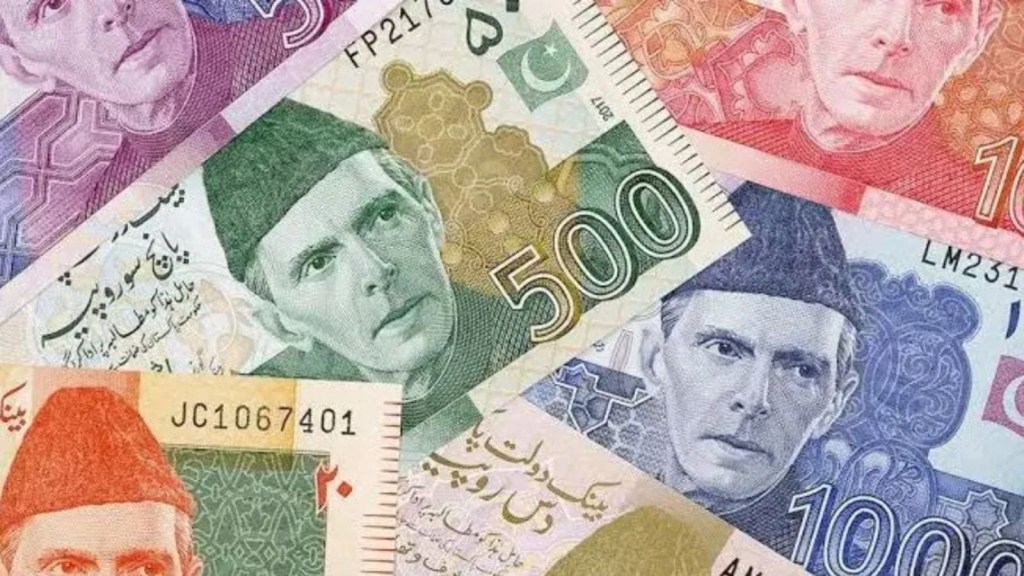 ભારતના આ શહેરમાં પાકિસ્તાની નોટ મળી આવતા હડકંપ, પોલીસ આવી હરકતમાં ભારતના આ શહેરમાં પાકિસ્તાની નોટ મળી આવતા હડકંપ, પોલીસ આવી હરકતમાં