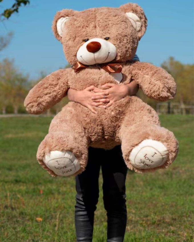 ફક્ત ભેટો જ નહીં, ખાસ અનુભૂતિ આપવી પણ મહત્વપૂર્ણ : ભેટ આપવાનો ખરો હેતુ ફક્ત વસ્તુઓ આપવાનો નથી પણ તમારા જીવનસાથીને ખાસ અનુભવ કરાવવાનો છે. તો ટેડી રીંછ સાથે એક નાનું સરપ્રાઈઝ પ્લાન કરો, જેમ કે કેન્ડલલાઈટ ડિનર, એક સુંદર વિડીયો મેસેજ અથવા તેની મનપસંદ ચોકલેટ. આ તેમના ટેડી ડેને વધુ ખાસ બનાવશે.