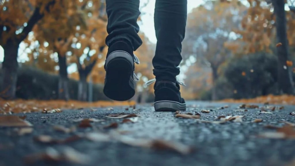 666 Walking Rule વિશે તમે કેટલું જાણો છો? સમજો વજન ઘટાડવા માટે કસરતની આ ફોર્મ્યુલા 666 Walking Rule વિશે તમે કેટલું જાણો છો? સમજો વજન ઘટાડવા માટે કસરતની આ ફોર્મ્યુલા