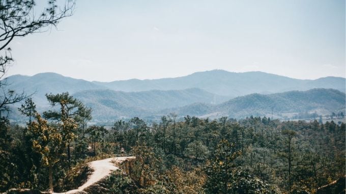 Circular Road, સર્ક્યુલર રોડ : સર્ક્યુલર રોડ એ યરકૌડનો પ્રખ્યાત માર્ગ છે, જે ટેકરીઓમાંથી પસાર થાય છે અને તમને સુંદર મનોહર દૃશ્યો આપે છે. આ રોડ આખા યેરકૌડ શહેરની આસપાસ ફરે છે અને અહીંથી તમે ટેકરીઓ, ખીણો અને લીલાછમ બગીચાઓનું આકર્ષક દૃશ્ય જોઈ શકો છો. ટ્રેકિંગ અને ફોટોગ્રાફીના શોખીનો માટે આ સ્થળ ઉત્તમ સ્થળ છે.(પ્રતિકાત્મક તસવીર - Photo- freepik)