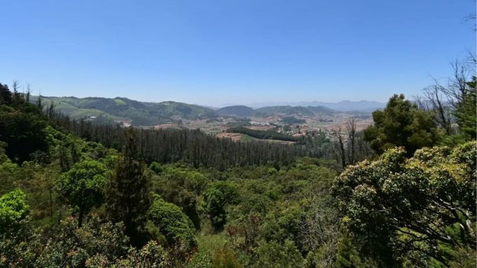 Trek to Servarayan Temple, ટ્રેકટ : ટ્રાઇકોટ એક હિલ સ્ટેશન છે, જ્યાંથી તમે સર્વનારાયણ મંદિરની મુલાકાત લઈ શકો છો. આ સાઇટ Yercaud માં સૌથી ઊંચા પર્વતો પૈકી એક છે અને સમગ્ર વિસ્તારનો સુંદર દૃશ્ય પ્રદાન કરે છે. મંદિર સુધી પહોંચવા માટે ટ્રેકિંગ કરવું જરૂરી છે, જે એડવેન્ચર ટુરિઝમ પ્રેમીઓ માટે આદર્શ છે.(photo - tamilnadu tourism)