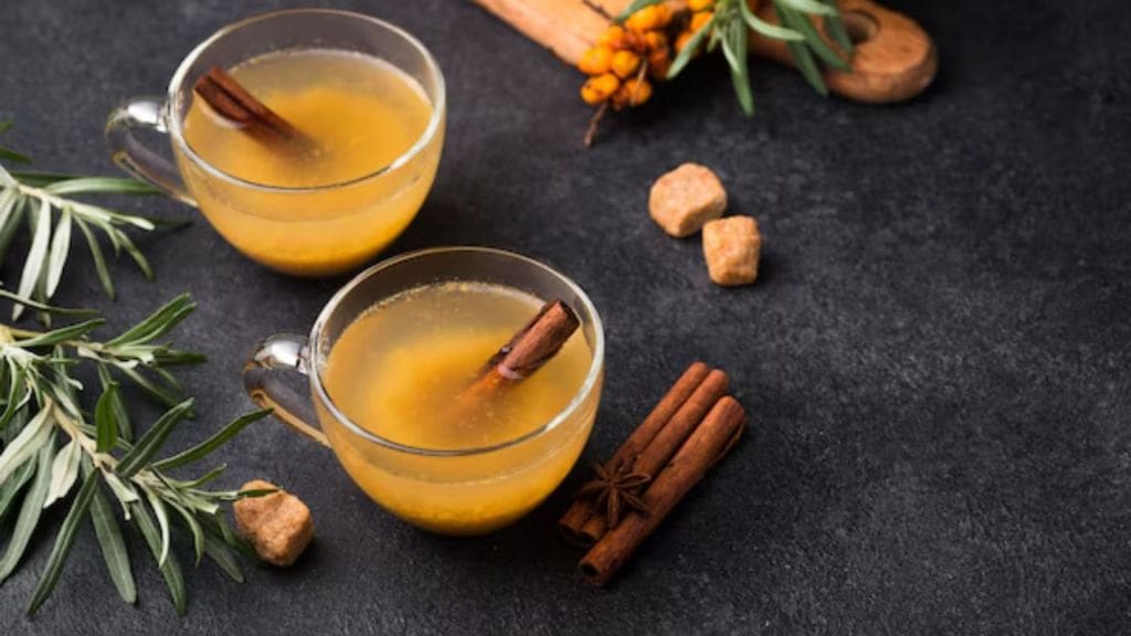 બ્લડ સુગરને નિયંત્રિત કરવા માટે તજનું પાણી પીવું જોઈએ? જાણો