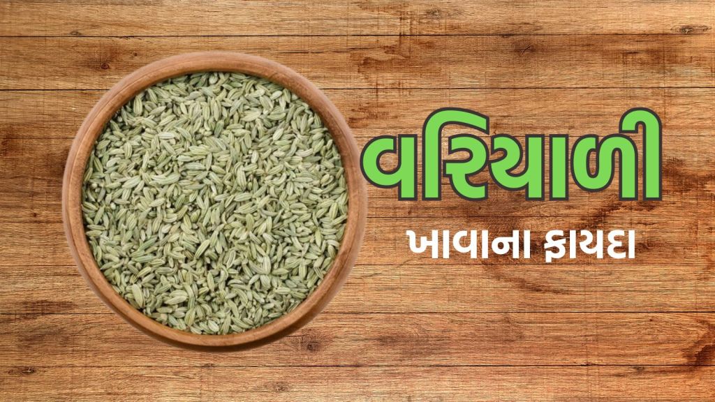 Fennel Benefits: જમ્યા બાદ વરિયાળી ખાવાથી શું ફાયદો થાય છે? ગેસ એસિડિટીમાં રાહત આપે છે? જાણો