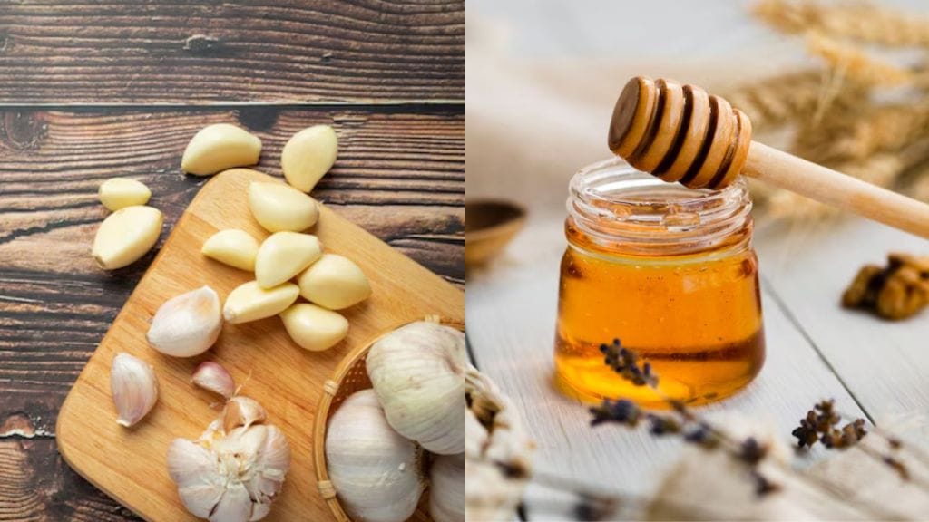 Garlic Honey Benefits: લસણ અને મધ સાથે ખાવાના અદભુત ફાયદા