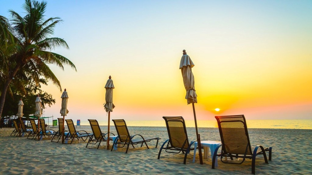 ગોવામાં પ્રવાસીઓ કેમ નથી આવતા? ભાજપ નેતાનો વિચિત્ર દાવો, ઈડલી સાંભાર સાથે કનેક્શન ગોવામાં પ્રવાસીઓ કેમ નથી આવતા? ભાજપ નેતાનો વિચિત્ર દાવો, ઈડલી સાંભાર સાથે કનેક્શન