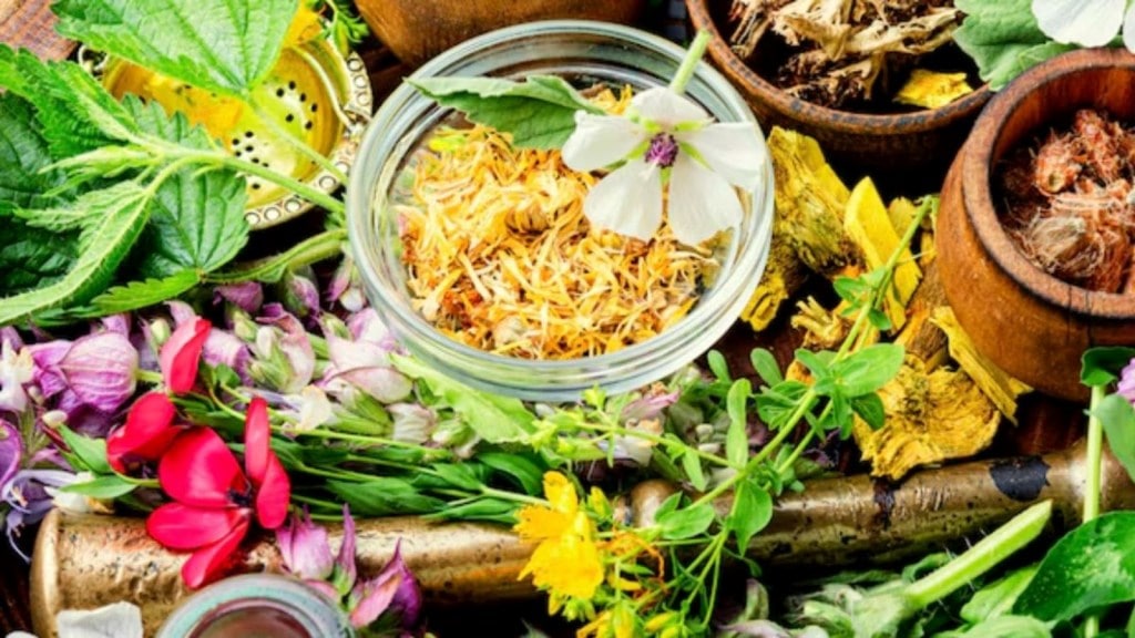 Medicinal Plants: ઘરે જરૂર લગાવો આ 5 ઔષધીય પ્લાન્ટ, દવા જેવી કરે છે અસર