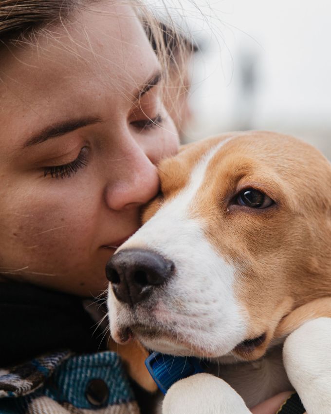 <strong>પાળતુ પ્રાણી :</strong> જો તમારા પાર્ટનરને પાળતુ પ્રાણી ખૂબ ગમે છે, તો તમે વેલેન્ટાઇન ડે પર તેને એક સુંદર પાલતુ પ્રાણી પણ ભેટ આપી શકો છો. આ બતાવે છે કે તમારા જીવનસાથીની પસંદગી તમારા માટે ખૂબ મહત્વ ધરાવે છે. આનાથી તમારા બંને વચ્ચેનો પ્રેમ ગાઢ બનશે.