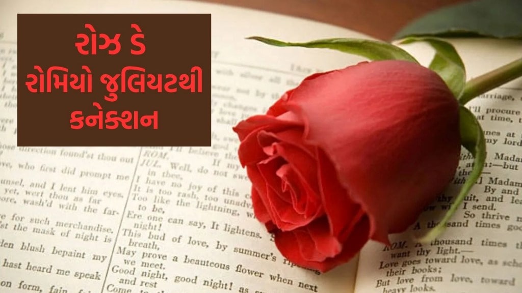 Rose Day 2025 : 7 ફેબ્રુઆરીએ રોઝ ડે કેમ મનાવવામાં આવે છે? રોમિયો જુલિયટ લવ સ્ટોરથી છે ખાસ કનેક્શન