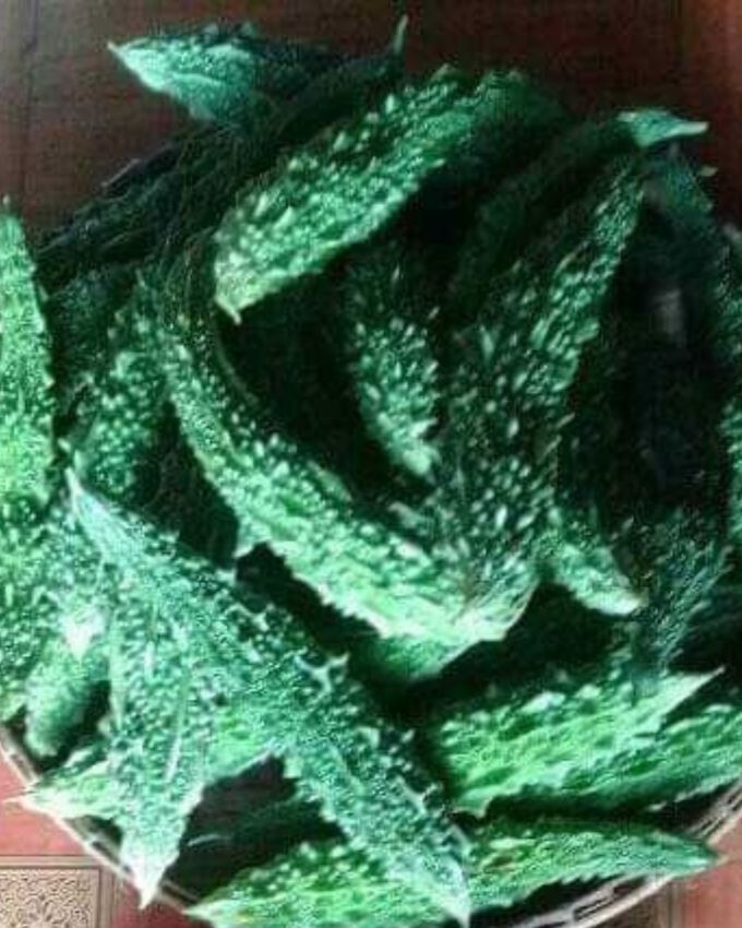 <strong>રોગપ્રતિકારક શક્તિ મજબૂત કરે</strong> : કારેલા શરીરની રોગપ્રતિકારક શક્તિને મજબૂત બનાવવામાં મદદ કરે છે. તેમાં  વિટામિન સી, એન્ટીઑકિસડન્ટ અને અન્ય પોષક તત્વો હોય છે, જે શરીરને ચેપ અને રોગોથી બચાવે છે. તેનું નિયમિત સેવન શરીરને રોગોથી બચાવવા અને રોગપ્રતિકારક શક્તિ વધારવામાં મદદ કરે છે.