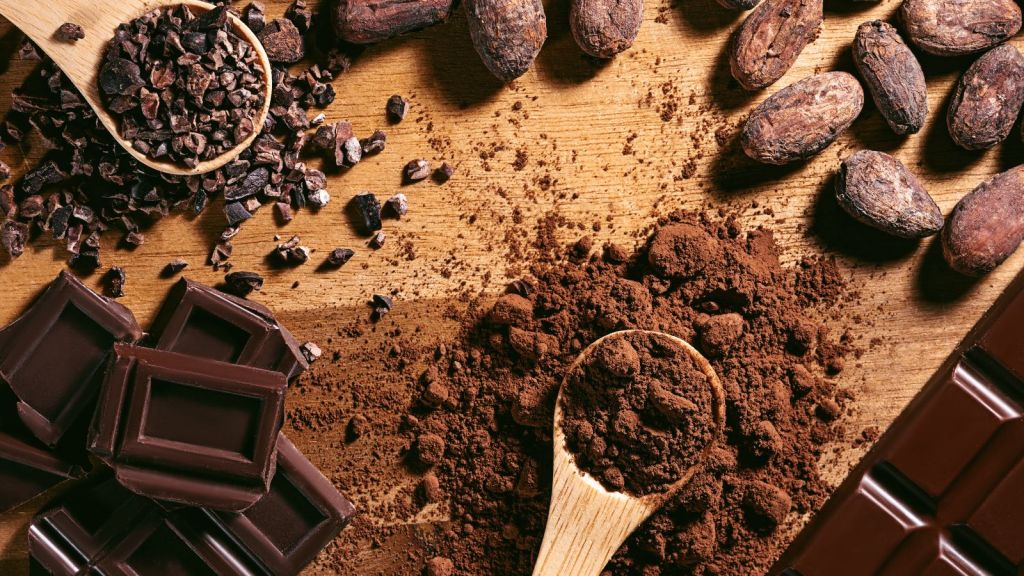 ડાર્ક ચોકલેટ સ્વાસ્થ્ય માટે સારી? દરરોજ કેટલું કરવું જોઈએ સેવન? જાણો ડાર્ક ચોકલેટ સ્વાસ્થ્ય માટે સારી? દરરોજ કેટલું કરવું જોઈએ સેવન? જાણો