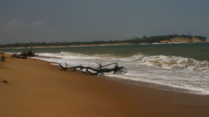 બોટિંગ અને વોટર સ્પોર્ટ્સ : ચિલિકા ઝીલમાં બોટિંગનો અનુભવ પણ ખૂબ જ લોકપ્રિય છે. પ્રવાસીઓ તેમાં બોટ રાઇડ કરીને ઝીલની શાંત સુંદરતાનો આનંદ માણી શકે છે. બોટિંગ કરતી વખતે, તમે ઝીલની મધ્યમાં સ્થિત નાના ટાપુઓ પણ જોઈ શકો છો. આ ટાપુઓ પર સ્થિત કિલ્લાઓ, માછીમારીના ગામો અને કુદરતી સૌંદર્ય જોવું એ એક અનોખો અનુભવ છે. આ ઉપરાંત કાયકિંગ અને પેડલ બોટિંગ જેવી વોટર સ્પોર્ટ્સ પણ અહીં લોકપ્રિય પ્રવૃત્તિઓ છે.(Photo-Wikipedia)