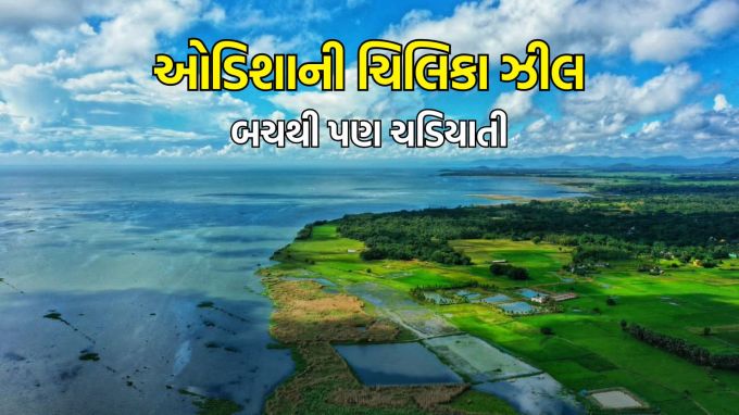 Odisha Tourism chilika lake : ઉનાળું વેકેશન પડવાના થોડા દિવસો બાકી છે ત્યારે લોકો વિવિધ સ્થળોએ ફરવા નીકળી જતા હોય છે. ઉનાળું વેકેશનમાં ફરવા લાયક સ્થળો પૈકી એક સ્થળ ઓડિશા રાજ્યના પુરીમાં આવેલું ચિલિકા સરોવર છે, તે ભારતનું સૌથી મોટું તાજા પાણીનું અને એશિયાનું ત્રીજું સૌથી મોટું સરોવર છે. આ ઝીલ તેની પ્રાકૃતિક સુંદરતા, વૈવિધ્યસભર વન્યજીવન અને પક્ષી અભયારણ્યો માટે પ્રખ્યાત છે. ચિલિકા ઝીલ માત્ર પ્રવાસીઓ માટે એક આકર્ષક સ્થળ નથી, પરંતુ તે પર્યાવરણ અને જૈવવિવિધતાના દૃષ્ટિકોણથી પણ અત્યંત મહત્વપૂર્ણ છે. આ સાઇટ ખાસ કરીને પક્ષી પ્રેમીઓ, પ્રકૃતિ પ્રેમીઓ અને પર્યાવરણ સંરક્ષણમાં રસ ધરાવતા લોકો માટે આદર્શ છે. (Photo-Wikipedia)