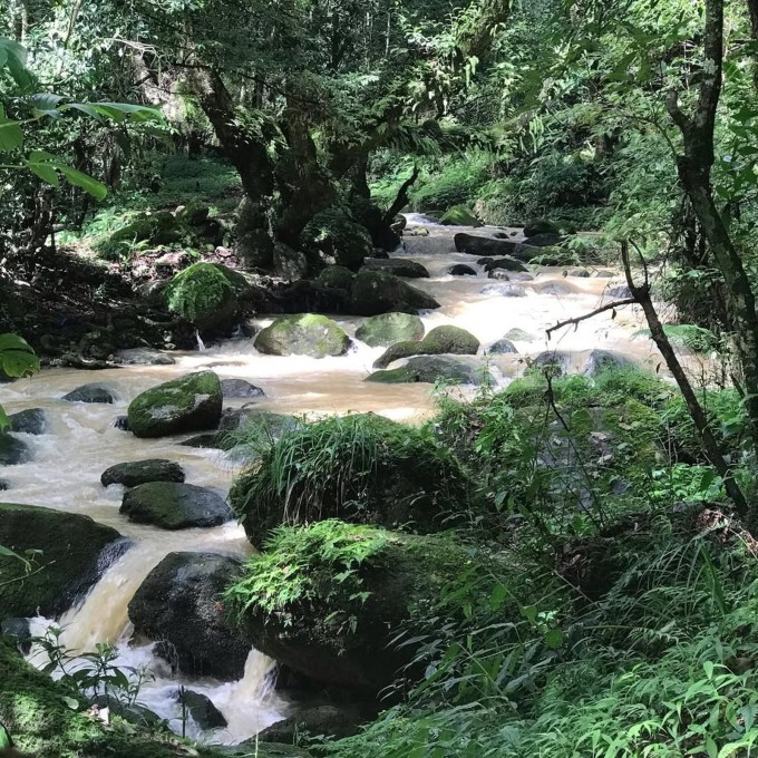 <strong>શિવપુરી : Shivpuri Hll</strong><br>મધ્યપ્રદેશના ગ્વાલિયર શહેર નજીક શિવપુરીમાં પ્રવાસીઓ જાધવ સાગર લેક અને ચાંદપાઠા લેક ફરી શકે છે. ઉપરાંત શિવપુરી હિલ સ્ટેશન પ્રકૃતિ અને વન્યજીવ પ્રેમીઓ માટે ખાસ સ્થળ છે, કારણ કે કરેરા પક્ષી અભ્યારણ અને માધવ નેશનલ પાર્ક શિવપુરીમાં જ આવેલા છે. આ અભ્યારણમાં પ્રવાસીઓ વન્ય પ્રાણી અને પક્ષીઓ જોવાનો આનંદ લઇ શકે છે. (Photo: Social Media)