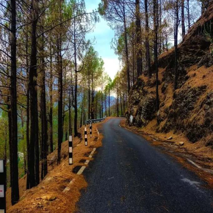 <strong>શોગી હિલ સ્ટેશન પ્રકૃતિ પ્રેમીઓનું મનપસંદ સ્થળ</strong><br>શોગી હિલ સ્ટેશન પર ગ્લેન વનમાં ધુમ્મુસભર્યા પહાડોથી ઘરેયાલું ચેડવિક વોટર ફોલ્સ છે, જ્યાં સ્વર્ગ જેવો નજારો જોવા મળે છે. આ વોટર ફોલ્સની સુંદરતા પ્રવાસીઓને વારંવાર અહીં ખેંચી લાવે છે. શોગી ફરવા જાવ તો ગિલ્બર્ટ ટ્રેલનો પ્રવાસ કરવાનું ભૂલો નહીં. તે પ્રકૃતિ પ્રેમીઓનું મનપસંદ સ્થળ છે. જ્યાં કુદરતીનો કરિશ્મા જોવા મળી શકે છે. (Photo: Social Media)