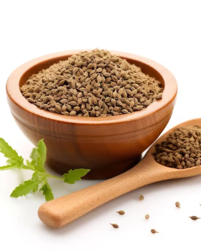 અજમો (Carom Seeds) ભારતીય રસોડામાં એક મહત્વપૂર્ણ મસાલો છે. તે માત્ર ખોરાકનો સ્વાદ જ નથી વધારતું, પરંતુ તેમાં ઘણા ઔષધીય ગુણો પણ છે. અજમામાં થાઇમોલ નામનું સંયોજન હોય છે, જે તેને બળતરા વિરોધી, બેક્ટેરિયા વિરોધી અને ફૂગ વિરોધી ગુણધર્મો આપે છે. આ જ કારણ છે કે સદીઓથી આયુર્વેદમાં વિવિધ સ્વાસ્થ્ય સમસ્યાઓની સારવાર માટે અજમાનો ઉપયોગ કરવામાં આવે છે.