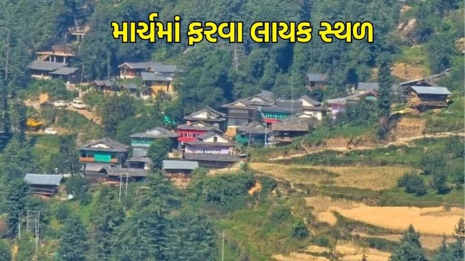 March Travel Plan, Tirthan valley : દરેક વ્યક્તિને ફરવાનો શોખ હોય છે. ઘણા લોકો એવી જગ્યાઓ શોધે છે જે શાંત અને શાંત હોય. આવી સ્થિતિમાં તમે હિમાચલ પ્રદેશની તીર્થન ખીણની મુલાકાત લેવાની યોજના બનાવી શકો છો. તમે રજાઓમાં એકવાર અહીં જઈ શકો છો. તીર્થન ખીણના લીલાછમ જંગલો, અદભૂત પર્વતીય દૃશ્યો, દૂધિયું સફેદ નદીઓ, અછતગ્રસ્ત ઘાસના મેદાનો અને સુંદર ગામડાઓ તમને મોહિત કરશે.(photo - Social media)