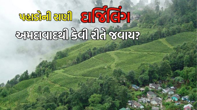 Darjeeling Tourism, summer travel tips :દાર્જિલિંગ પશ્ચિમ બંગાળનું પ્રખ્યાત હિલ સ્ટેશન છે. દાર્જિલિંગને પહાડોની રાણી (Queen of the Hills) કહેવામાં આવે છે. વાદળો સાથે વાતો કરતા બરફાચ્છાદિત હિમાલય પર્વત, ઉંચા લીલાછમ વૃક્ષો, ધુમ્મસો, રંગબેરંગી ફુલોશી સજેલું કુદરતી સૌદર્યથી ભરપૂર દાર્જિલિંગ પ્રવાસીઓને ખેંચી લાવે છે. (photo- wikipedia)