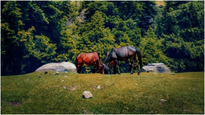 ગુલાબા હિલ સ્ટેશનની સુંદરતા તમને મંત્રમુગ્ધ કરી દેશે. આ હિલ સ્ટેશન મનાલીથી 25 કિમી દૂર છે. અહીં તમે સાહસિક પ્રવૃત્તિઓ કરી શકો છો. આ હિલ સ્ટેશન રોહતાંગ પાસ રૂટ પર છે. પ્રવાસીઓ અહીં દૂર-દૂર સુધી ફેલાયેલા બરફથી ઢંકાયેલા પહાડો જોઈ શકે છે.(Photo- Instagram)