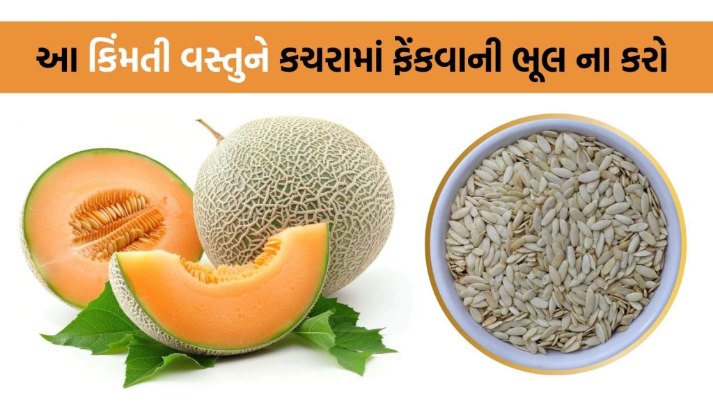 શક્કરટેટીના બીજ ફેંકવાથી થઈ શકે છે 3 હજાર રૂપિયાનું નુકસાન! જાણો તેનો ઉપયોગ કેવી રીતે કરવો?