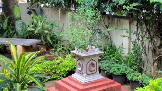 <strong>તુલસીનો છોડ (Vastu Tips For Tulsi Plant)</strong><br>તુલસીના છોડને હિંદુ ધર્મમાં પૂજનીય માનવામાં આવે છે. સાથે જ વાસ્તુ શાસ્ત્ર મુજબ તેને ઘરમાં લગાવવાથી ઘરમાં નકારાત્મક ઉર્જાનો વાસ થતો નથી. આ સાથે જ દરેક વ્યક્તિ ઘરમાં સુખ, શાંતિ અને સમૃદ્ધિ સાથે સ્વસ્થ રહે છે. તેનાથી તમે માનસિક તણાવથી રાહત મેળવી શકો છો. તેથી તેને ઘરની પૂર્વ કે ઉત્તર-પૂર્વ દિશામાં મુકવું સૌથી શુભ રહેશે.