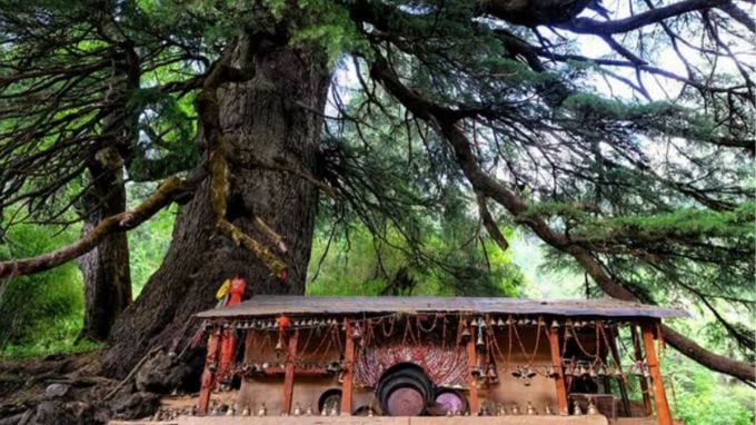 મંદિરનો ઇતિહાસ : લટુ મંદિર ઉત્તરાખંડના ચમોલી જિલ્લાના દેવલ બ્લોકના વાણ ગામમાં આવેલું છે. આ મંદિરમાં લાટુ દેવતાની પૂજા કરવામાં આવે છે. આ સ્થાન નંદા દેવી રાજ જાટ યાત્રાનું એક મહત્વપૂર્ણ સ્ટોપ પણ છે. સ્થાનિક માન્યતાઓ અનુસાર લટુ દેવતા નંદા દેવીના ભાઈ છે. (photo-social media)