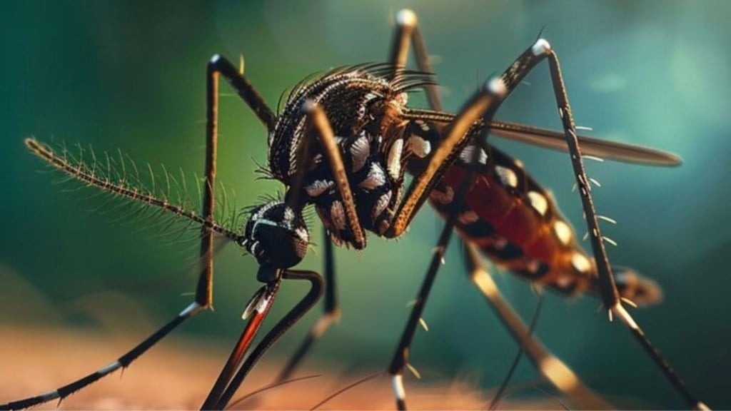 બાળકોને મચ્છરથી બચાવવા ઘરે જ બનાવો સ્પ્રે, દિવસમાં માત્ર 2 વખત જ ઉપયોગ કરવાની જરૂર પડશે બાળકોને મચ્છરથી બચાવવા ઘરે જ બનાવો સ્પ્રે, દિવસમાં માત્ર 2 વખત જ ઉપયોગ કરવાની જરૂર પડશે