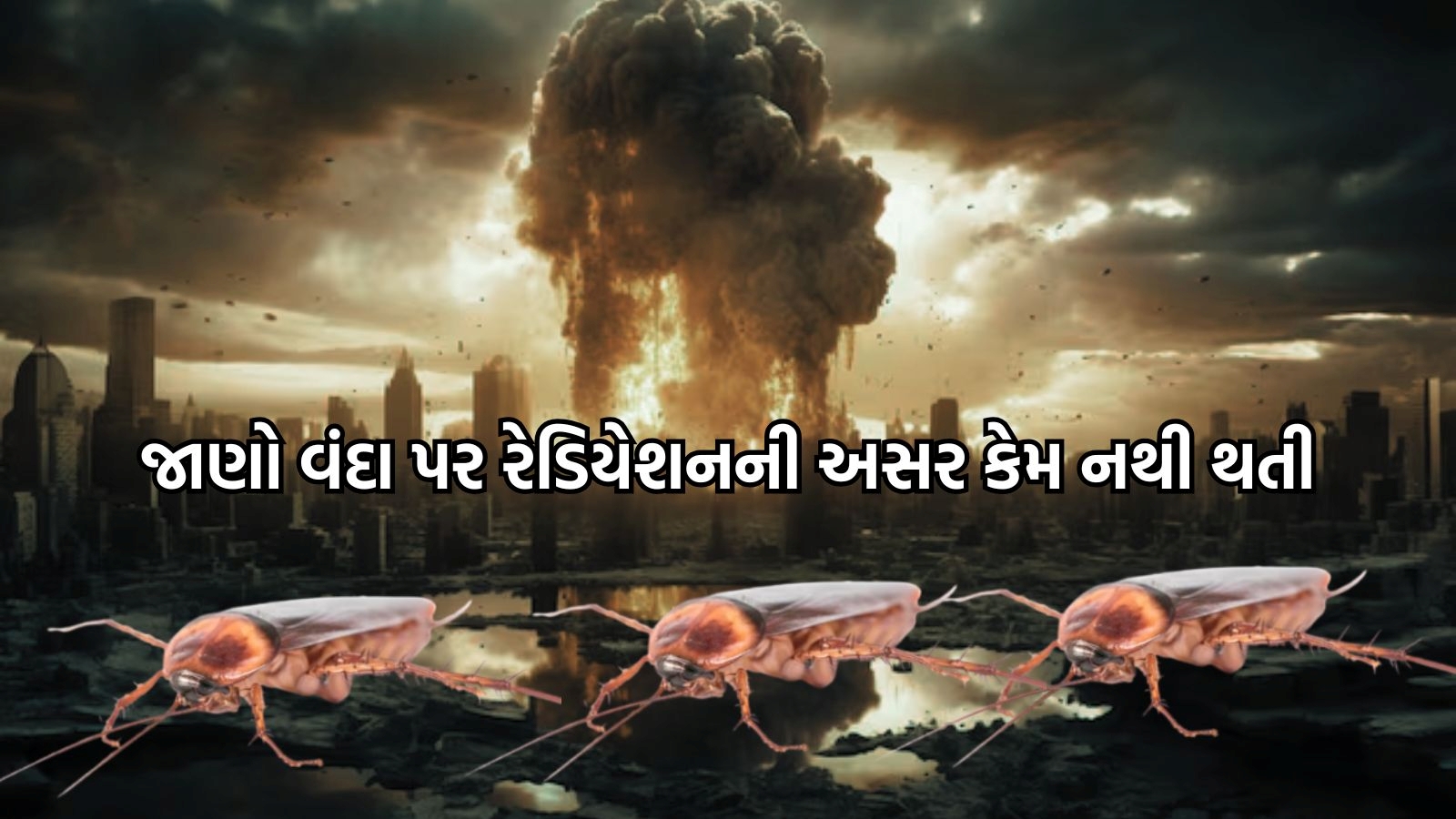 Atom attack પછી પણ વંદા કેમ મરતા નથી? જાણો તેનું રહસ્ય.