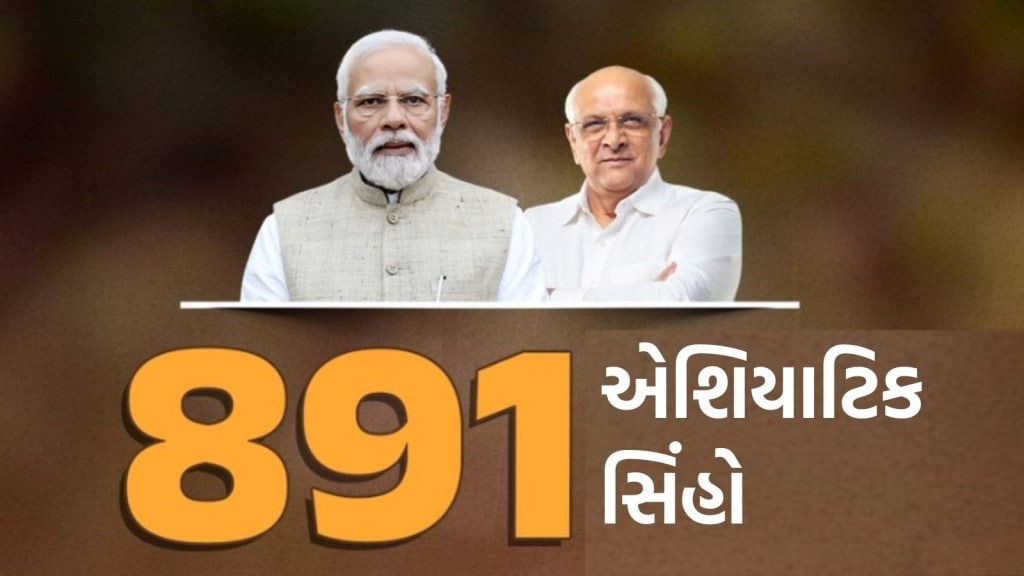 ગુજરાતમાં સિંહોની સંખ્યા વધતા PM મોદી થયા ખુશ, કહ્યું- ‘આ જોઈને ખૂબ આનંદ થયો…’