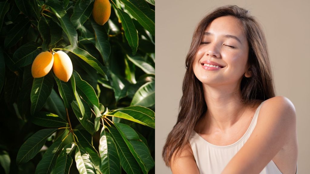 યુવાન ત્વચા માટે કેરીના પાનનો ફેસ પેક આ રીતે બનાવો, ચમકી જશો! યુવાન ત્વચા માટે કેરીના પાનનો ફેસ પેક આ રીતે બનાવો, ચમકી જશો!