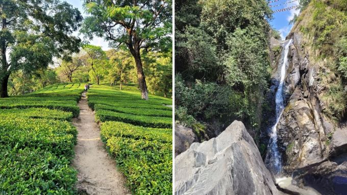 <strong>મેકલોડગંજ : McLeod Ganj</strong><br>પઠાણકોટથી 89 કિમી દૂર આવેલું મેકલોડગંજ હિલ સ્ટેશન હિમાચલ પ્રદેશના સૌથી સુંદર સ્થળો પૈકીનું એક છે. ધર્મશાળા નજીક આવેલુ મેકલોડગંજ તિબ્બતિયન માહોલ, મોનેસ્ટ્રીઝ, ઝરણાં અને કાફે કલ્ચર માટે પ્રસિદ્ધ છે. શાંત વાતાવરણ, રંગીન બજાર અને ટ્રેકિંગ રૂટ્સ યુવાઓ વચ્ચે લોકપ્રિય બનાવે છે. ભાગસૂ ઝરણું, નામગ્યાલ મોનેસ્ટ્રી અને ત્રિઉંડ ટ્રેક જેવા આકર્ષક સ્થળો જોવાલાયક છે. અહીં તિબ્બતિયન થી લઇ ઇટાલિયન ભોજનનો સ્વાદ માણવા મળે છે. (Photo: Social Media)