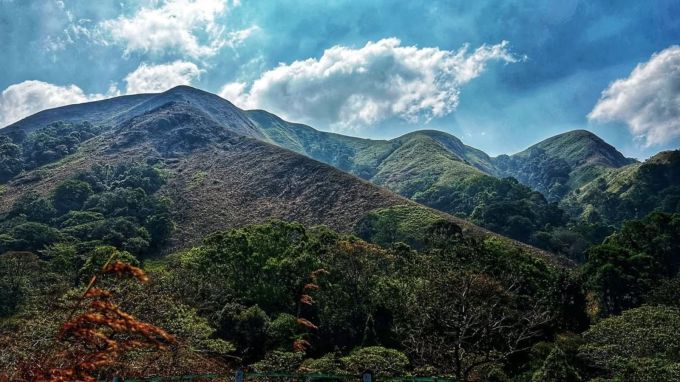 <strong>પીરુમેડુ : Peerumedu</strong><br>પીરુમેડુ હિલ સ્ટેશનને સૌથી મોટી ખાસિયત એ છે કે અહીં પ્રવાસીઓ આખા વર્ષ દરમિયાન ફરવા આવી શકે છે. પીરુમેડુ ઝરણાં, બગીચા અને રબરના બગીચાથી ઘેરાયેલું છે, ઉપરાંત એલચી, કાળા મરી, દેવદારના જંગલ અને ઘાસથી લીલીછમ ધરતી પ્રવાસીઓને આકર્ષિત કરે છે. (Photo: Social Media)