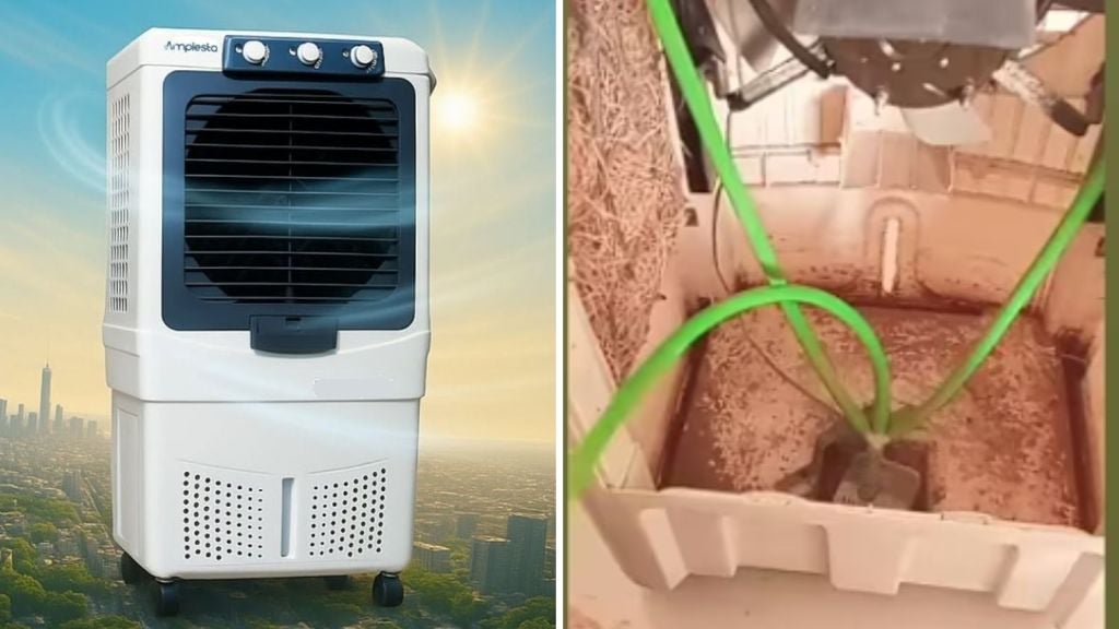Air Cooler Tips: કુલરનું પાણી ક્યારે બદલવું? મચ્છર ન થાય તે માટે આ 3 વસ્તુ પાણીમાં ઉમેરો