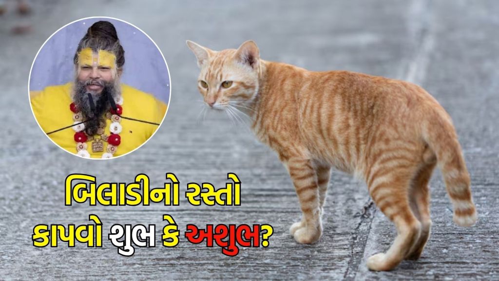 Premanand Maharaj : શું બિલાડી રસ્તામાં આડી ઉતરે તો આપણે રોકાઈ જવું જોઈએ? પ્રેમાનંદ મહારાજે જણાવ્યું સત્ય