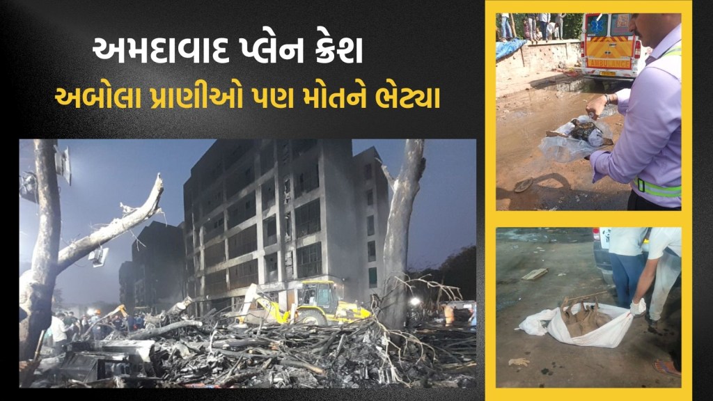 અમદાવાદ વિમાન દુર્ઘટનામાં આગનો એવો ગોળો બન્યો કે કૂતરા અને પક્ષીઓ પણ બચી શક્યા નહીં