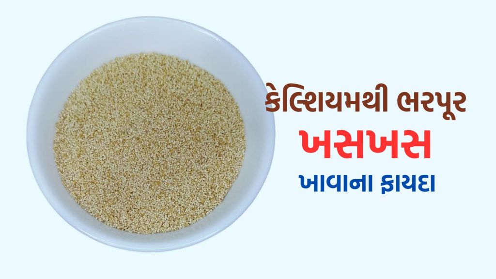 Poppy Seeds Benefits: દૂધ કરતા 10 ગણું વધારે કેલ્શિયમ છે આ નાના દાણામાં, કોલેસ્ટ્રોલ કન્ટ્રોલ અને પેટમાં ઠંડક કરશે