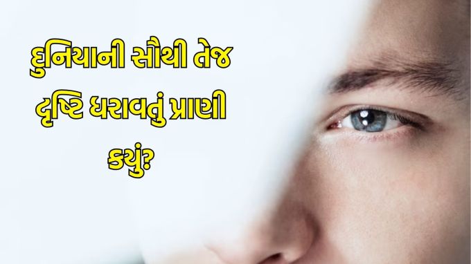 animals with sharp vision in the world : જ્યારે શ્રેષ્ઠ દૃષ્ટિની વાત આવે છે, ત્યારે તેનો સીધો જવાબ આપવો મુશ્કેલ બની જાય છે. કારણ કે વિવિધ પ્રાણીઓની આંખો વિવિધ જરૂરિયાતો અનુસાર વિકસિત થઈ છે. કેટલાક દૂરની વસ્તુઓને ખૂબ સારી રીતે જોઈ શકે છે, જ્યારે કેટલાક રંગોને સમજવામાં પારંગત છે. તો ચાલો જાણીએ કે કયા પ્રાણીની આંખો કયા અર્થમાં સૌથી ખાસ માનવામાં આવે છે.(photo- freepik)
