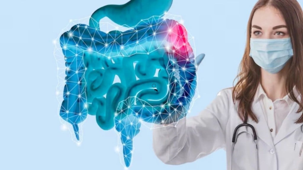 આંતરડામાં સોજો હોવા પર પેટમાં ઝડપથી બને છે ગેસ, આ 5 ફૂડને ડાયેટનો ભાગ બનાવો, થશે સુધારો