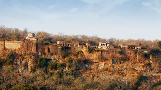 <strong>સવાઇ માધોપુર </strong>: ચોમાસા દરમિયાન રણથંભોર રાષ્ટ્રીય ઉદ્યાન પ્રવાસીઓ માટે બંધ રહે છે, પરંતુ રણથંભોર કિલ્લો અને આસપાસના વિસ્તારો ખુલ્લા રહે છે. વરસાદની ઋતુ દરમિયાન અહીંની હરિયાળી અને જંગલની સુગંધ મનને શાંત કરે છે. (Pics : rajasthan tourism)