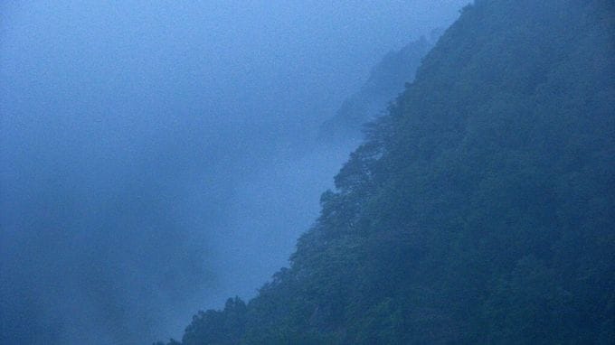 અન્યત્ર જોવા મળતી ફૂગમાં મેલિઓલા અગુમ્બેન્સિસ, ટેરેના અગુમ્બેન્સિસ, હાઇગ્રોમાસ્ટર અગુમ્બેન્સિસનો સમાવેશ થાય છે. આ વિસ્તાર પશ્ચિમ ઘાટમાં સ્થાનિક પ્રજાતિઓનું ઘર છે, જેમ કે મલબાર ગ્લાઇડિંગ દેડકા, મલબાર હોર્નબિલ અને મલબાર પીટ વાઇપર. કાળા ચિત્તા જેવા દુર્લભ અને અદભુત પ્રાણીઓ પણ અહીં ક્યારેક જોવા મળે છે.(photo-wikipedia)