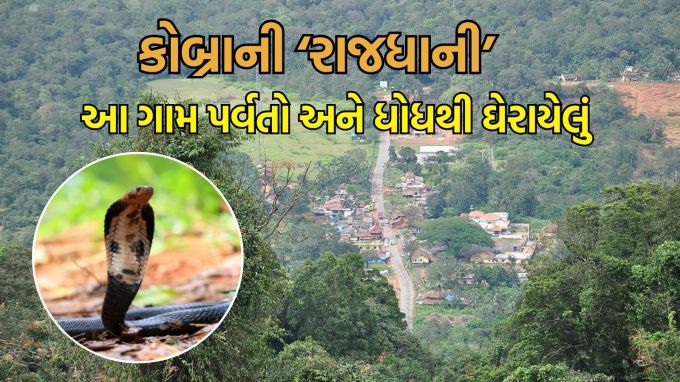 Monsoon travel tips, Agumbe Snake Capital Of India: જ્યારે પણ આપણે સાપનો ઉલ્લેખ કરીએ છીએ, ત્યારે આપણા રૂંવાટા પડી જાય છે, પરંતુ જો તમને ખબર પડે કે દેશમાં એક એવું ગામ છે જ્યાં લોકો સાપ સાથે રહે છે, તો તમે શું કહેશો? તમે કદાચ માનશો નહીં, પણ તે સાચું છે! કર્ણાટકમાં અગુમ્બે નામનું એક ગામ છે, જ્યાં કોબ્રા સાપ ઘરોમાં રહે છે અને લોકો તેમની સાથે પણ રહે છે. (photo-wikipedia and freepik)