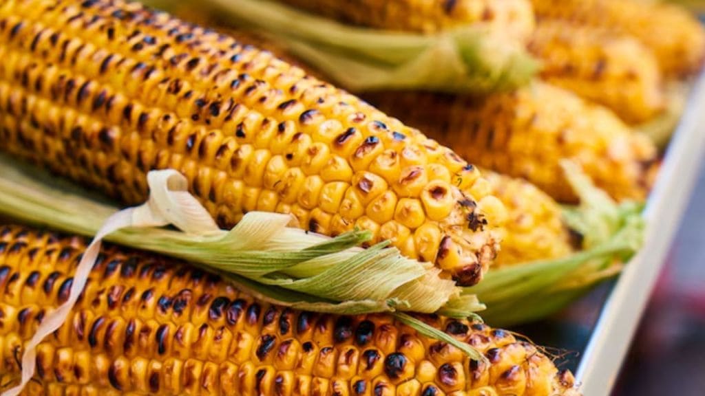 ચોમાસામાં દરરોજ શેકેલી મકાઈ કેમ ખાવી જોઈએ?