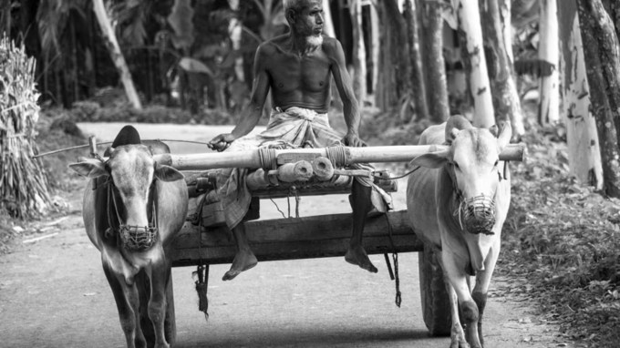 <strong>જાગૃતિની જરૂર છે </strong>: આવી પરંપરાઓ દર્શાવે છે કે આપણા પૂર્વજો કેટલા વૈજ્ઞાનિક અને વ્યવહારુ હતા. તેઓ દરેક બાબતમાં પ્રકૃતિ, આરોગ્ય અને સલામતીનું ધ્યાન રાખતા હતા. પરંતુ સમય જતાં આપણે તાર્કિક વિચારસરણી ભૂલી ગયા અને પરંપરાઓને અંધશ્રદ્ધાનું સ્વરૂપ આપ્યું છે. (Photo Source: Pexels)