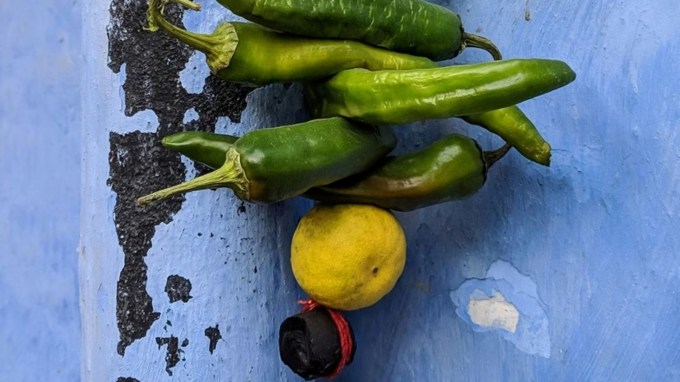 <strong>Logic Behind Hanging Lemon-Chillies</strong>: ભારતમાં ઘરો અને દુકાનોની બહાર લીંબુ અને મરચાં લટકાવવાની પ્રથા ખૂબ જૂની છે. સામાન્ય રીતે એવું માનવામાં આવે છે કે તે ખરાબ નજર અથવા નકારાત્મક ઉર્જાથી રક્ષણ આપે છે. ઘણા લોકો તેને ફક્ત એક અંધશ્રદ્ધા માને છે, પરંતુ શું તમે ક્યારેય તેની પાછળનું સાચું કારણ જાણવાનો પ્રયાસ કર્યો છે? શું તે ખરેખર ખરાબ નજરથી બચાવવા માટે માત્ર એક યુક્તિ છે, કે તેની પાછળ કોઈ વૈજ્ઞાનિક અને તાર્કિક કારણ છે? ચાલો જાણીએ આ પ્રચલિત અંધશ્રદ્ધા પાછળનું સંપૂર્ણ સત્ય. (Photo Source: Pexels)
