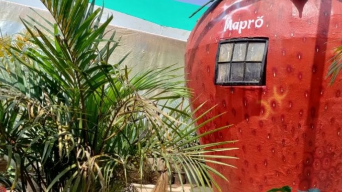 <strong>મેપ્રો ગાર્ડન</strong> : આ સ્થળ ખાસ કરીને બાળકો અને ખાવાના શોખીનો માટે શ્રેષ્ઠ છે. અહીં તમે સ્ટ્રોબેરી પ્રોડક્ટ્સની ટેસ્ટિંગ કરી શકો છો અને કુદરતી સૌંદર્યનો આનંદ પણ માણી શકો છો. (તસવીર - સોશિયલ મીડિયા)