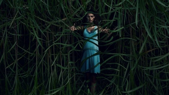 <strong>5- ઇન ધ ટોલ ગ્રાસ (In the Tall Grass)</strong><br>જો તમને હોરર ફિલ્મો ગમે છે તો એકવાર ઇન ધ ટોલ ગ્રાસ ફિલ્મ ચોક્કસ જુઓ. આ એક કેનેડિયન હોરર ડ્રામા ફિલ્મ છે જે 2019 માં રિલીઝ થઈ હતી. આ ફિલ્મ સ્ટીફન કિંગ અને જો હિલ દ્વારા 2012 માં લખાયેલી આ જ નામની નવલકથા પર આધારિત છે. (Photo: Netflix)