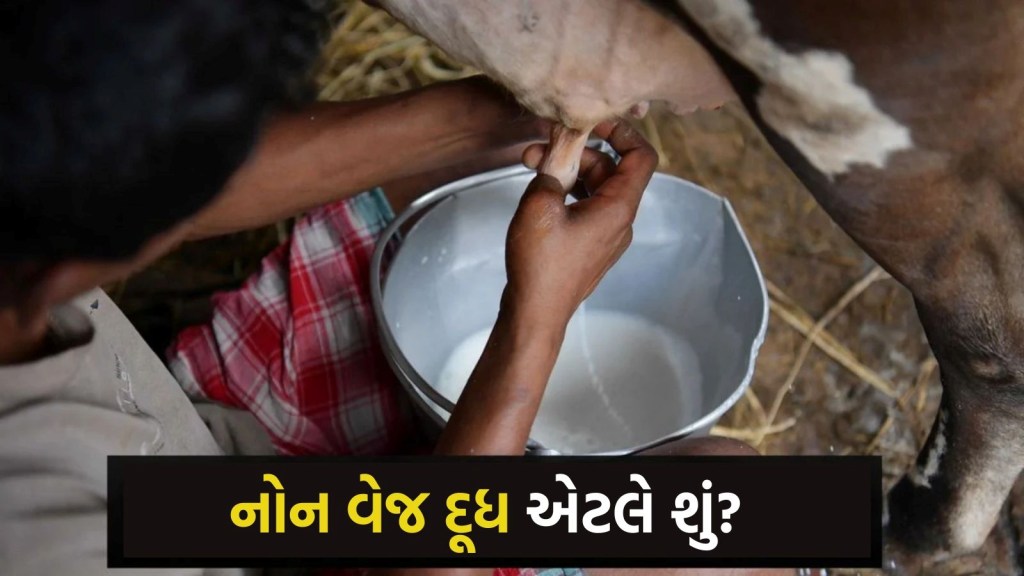 Non Veg Milk: નોન વેજ દૂધ એટલે શું? ભારત-અમેરિકા વચ્ચે ટ્રેડ ડીલમાં બની રહ્યું છે અડચણ