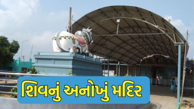 Pallikondeswarar Swamy Temple Tour Guide: શ્રાવણ માસ 2025 શરુ થયો છે. અત્યાર સુધી તમે શિવના આવા મંદિરો જોયા હશે જ્યાં ભગવાનની મૂર્તિ સીધી સ્થાપિત હોય, અને કોઈ મંદિરમાં ભોલેનાથ એકલા હોય અને ક્યાંક માતા પાર્વતી તેમની સાથે સ્થાપિત હોય. પરંતુ શું તમે ક્યારેય આવા મંદિર વિશે સાંભળ્યું છે, જ્યાં શિવ આરામની મુદ્રામાં હોય, અને માતા પાર્વતી તેમની બાજુમાં બેઠેલી હોય? જો નહીં, તો ચાલો તમને જણાવીએ કે આવું મંદિર ભારતમાં સ્થાપિત છે અને તમને દુનિયાના અન્ય કોઈ મંદિરમાં આવી મૂર્તિ નહીં મળે. (photo-Social media)
