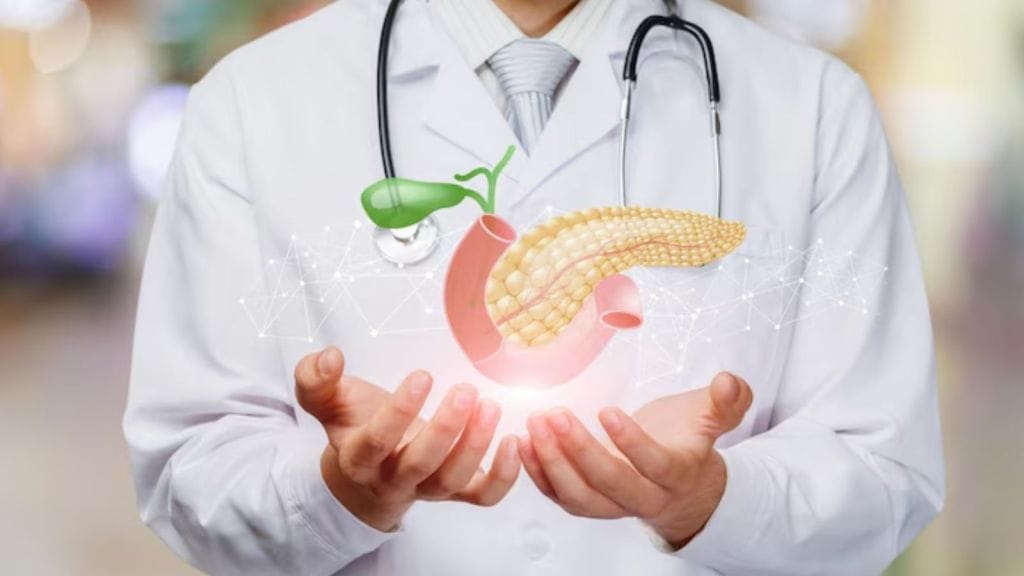 Pancreas Disease Symptoms and Causes | શરીરમાં સ્વાદુપિંડનું કામ શું? સંબંધિત બીમારીઓ, લક્ષણો અને તેને સ્વસ્થ રાખવા આ ટિપ્સ અનુસરો