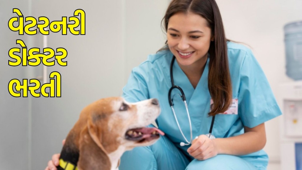 ભારતી 2025: કુચમાં પરીક્ષા વિના, 000 50,000 ની નોકરી મેળવવાની સુવર્ણ તક, લાયકાત શું હશે? અહીં વાંચનમાં વેટરનરી ડ doctor ક્ટરની ભરતી: અહીં વેટરનરી ડ doctor ક્ટર પોસ્ટ વિગતો, શૈક્ષણિક લાયકાત, જોબ ટાઇપ, ઇન્ટરવ્યૂ ડેટમાં ચાલવા, કચ્છની ભરતી 2025 હેઠળ મૂકો સહિતની મહત્વપૂર્ણ માહિતી શોધો. પગારની નોકરીની શોધમાં એવા ઉમેદવારો માટે એક સુવર્ણ તક છે. આ નોકરી મેળવવા માટે લેખિત પરીક્ષા લેવાની જરૂર નથી. ડેપ્યુટી ફોરેસ્ટ ડિફેન્સ Office ફિસ, ભુજ-કુચે, ભની ગ્રાસલેન્ડ ડિપાર્ટમેન્ટ, ભુજની તુગા (એલયુએનએ) રેન્જમાં ચિત્તા સંરક્ષણ ક્ષેત્ર માટે વેટરનરી ડ doctor ક્ટરની નિમણૂક માટે ભરતીની ભરતીની ઘોષણા કરી છે. આ માટે, ઉમેદવારોએ તેમના જરૂરી દસ્તાવેજોનો પીડીએફ બનાવવો પડશે અને 28 જુલાઈ, 2025 ના રોજ સાંજે 4 વાગ્યા સુધીમાં dcfbani@gmail.com સાથે અરજી મોકલવી પડશે. ભુજ-કુચ વિભાગ ગ્રાસલેન્ડપોસ્ટવોટરનરી ડોક્ટરજાયા 1 જોબ ટાઇપ 11 સામૂહિક કરાર, ડીસીએફબીએનઆઈ@gmail.com પર અરજી કરવાની છેલ્લી તારીખ, dcfbani@gmail.com- ફોરેસ્ટ પ્રોટેક્શન Office ફિસ, ભુજ-કુચ, ભુજ પર પોસ્ટ વિગતોની પોસ્ટ વિગતો. સંરક્ષણ ક્ષેત્ર માટે પશુચિકિત્સા ડ doctor ક્ટરના 1 સ્થળ પર 11 -મહિનાના કરાર આધારિત નિમણૂક માટે અરજીઓની વિનંતી કરવામાં આવી છે. આહ) એક ડિગ્રી હોવી જોઈએ. જેઓ કામના કાર્યનો અનુભવ કરે છે તેમને વન્યપ્રાણીસૃષ્ટિને પ્રાધાન્ય આપી શકાય છે. કમ્પ્યુટરના ઉપયોગના આધારે 11 મહિનાનો કરાર હોવાથી, આ પોસ્ટ પર પસંદ કરેલા ઉમેદવારો દર મહિને મહેનતાણું મેળવવા માટે પાત્ર બનશે. ફાઇલને ઇ-મેઇલ આડી પર ઇ-મેઇલ કરવી પડશે. એપ્લિકેશનને ઇ-મેઇલ આડી પર મોકલવી પડશે. ટેલિફોનિક અથવા ઇ -મેઇલ દ્વારા જાણ કરવામાં આવશે. ઇન્ટરવ્યૂ સમયે, મૂળ પ્રમાણપત્ર તેમજ સ્વ-સમાયેલી નકલ, કચ ફોરેસ્ટ સર્કલ Office ફિસ, ભુજ ખાતે હાજર રહેશે. જાહેરાત- પીડીએફકચ ભારતી 2025 ઉમેદવારો માટે ડાઉનલોડ ફક્ત 11 મહિનાના આધારે કરાર છે. યોગ્ય ઉમેદવાર અને કામગીરીની દ્રષ્ટિએ, આ કરાર 11 મહિના પછી લાંબા સમય સુધી લંબાવી શકાય છે. નહિંતર, કરાર 11 -મહિનાની અવધિની સમાપ્તિ પર પૂર્ણ થશે. જગ્યા આધારિત અને પ્રોજેક્ટ આધારિત હોવાથી, ભવિષ્યમાં દાવો કરવાનો અધિકાર ભવિષ્યમાં દાવો કરી શકાતો નથી. અને યુગના પ્રસંગે, તેનું વચન પણ આપવું પડશે. ભારતીય એક્સપ્રેસ ગુજરાતી પર આજના નવીનતમ ગુજરાતી સમાચાર અને ટ્રેન્ડિંગ સમાચાર વાંચો. અહીં તમને ગુજરાત, રમત, ધર્મ, વેપાર, જીવનશૈલી, મનોરંજન, કારકિર્દી તેમજ ગુજરાતીમાં ભારત અને વિશ્વભરમાં દૈનિક સમાચાર અપડેટ્સ મળશે.